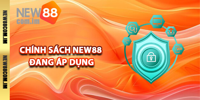 Các điều khoản chính sách New88 đang áp dụng