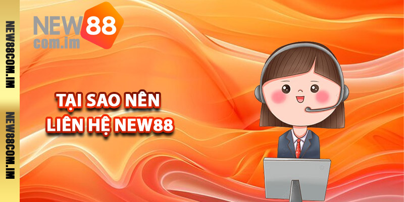 Tại sao nên liên hệ New88 khi cần hỗ trợ?
